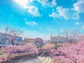 温暖的季节（爱与关怀）