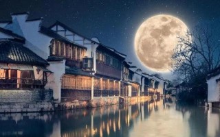 月下奇遇（一个迷失在森林中的少年）