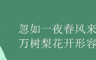朔雪里的坚守（一名农村妇女的冬季生活）