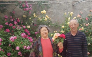 当平凡遇见伟大（一位老师的成就）