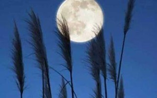 莫忘初心（留恋过去，抚今追昔）