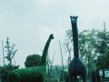 美丽的家乡