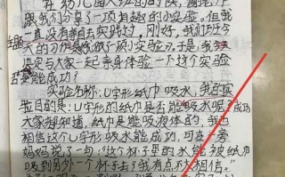 小学生的探索之路（小学生的探索之路）