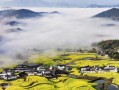 梦中的田园风光（一段关于回归大自然的故事）