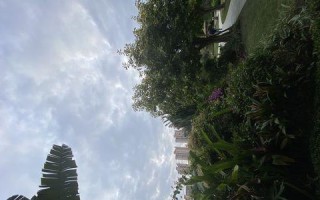 守候我的梦想（重新踏上音乐之路的故事）