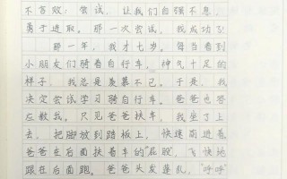 一次成功的尝试(跨越障碍,勇往直前) 一次成功的尝试(跨越障碍,勇往直前)