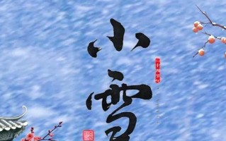 冬天的声音（寻找生命的回响）