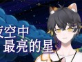 夜空中最亮的星（爱与勇气的故事）