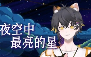 夜空中最亮的星（爱与勇气的故事）