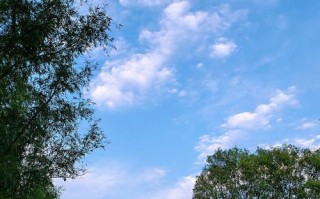 平淡无奇的日常生活。（每天都有惊喜。）