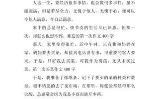 网络管理者的故事（一个天涯社区版主的采访笔记）