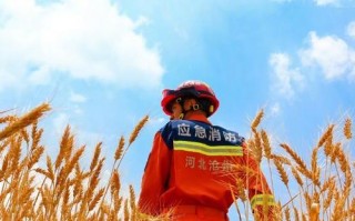 逆行者勇往直前——一位母亲的故事(孩子的需要成为她的动力) 逆行者勇往直前——一位母亲的故事(孩子的需要成为她的动力)