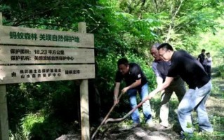 一颗树苗的成长（用心培育，见证奇迹）