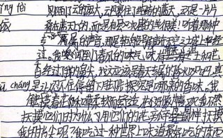 我的童年往事：难忘的游戏时光