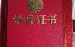 一个鼓起勇气放飞梦想的故事（一个鼓起勇气放飞梦想的故事）