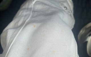 一个调皮的小男孩带给我的欢乐（一个调皮的小男孩带给我的欢乐）