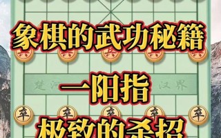 梦幻棋谭（一个爱好者的人生经历）