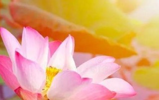 心存善良,让世界更美好(一位小画家的善良之举) 心存善良,让世界更美好(一位小画家的善良之举)