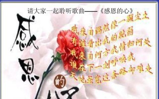 一颗感恩的心（感恩是一种信仰）