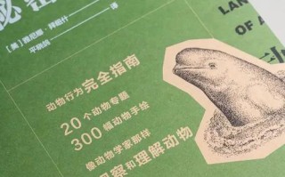 蓝颜红颜，爱恨交织（关于友谊和爱情）
