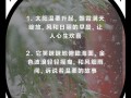 风和日丽，让生活更美好（一个阳光少年的故事）