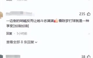 我的斗志之火（从逆境中崛起）