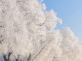 冬日的晨曦