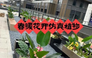 春天的气息悄然降临，踏入花的世界（春天的气息悄然降临，踏入花的世界）