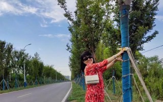 阳光心态闯荡人生路（不抱怨，不放弃，用笑容迎接挑战）