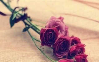 你若盛开，蝴蝶自来（一个女孩的花香引来了什么）