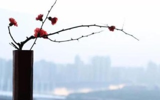 以心念所想（改变命运）