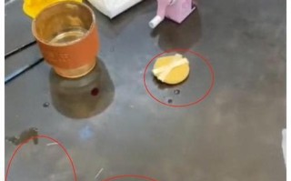 感叹生活（坚持与放下）