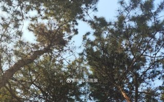 温暖人心的小举动(温暖人心的小举动) 温暖人心的小举动(温暖人心的小举动)