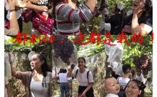 无限的自豪（一个人的成长之路）