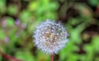 追寻未知的刺激（追寻未知的刺激）