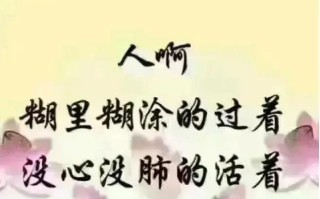 没心没肺的少年（从学习到生活，他总是用轻松的态度面对一切）