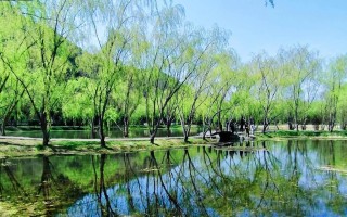 建设春天（春风吹拂，创造美好未来）