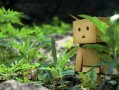 告别了童真（人生不止有梦想，还有成长）