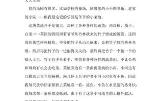 欢乐小镇——快乐之城（一个少年的建造之梦）