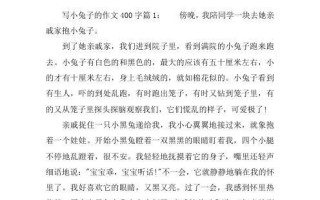 小兔子的成长之路（萌萌哒的小兔子）