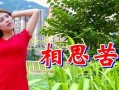 流淌的泪水（因思念而流淌的泪水）