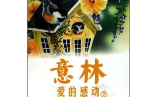 一束光芒（温暖人心的故事）