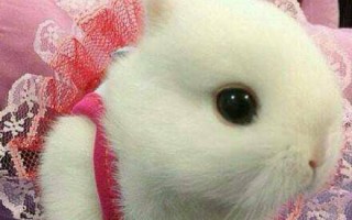 不经意的微笑（那些被微笑改变的人生）