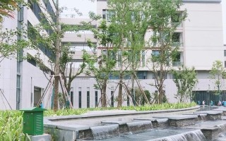 新校园里的美好记忆（回忆往事，留下足迹）