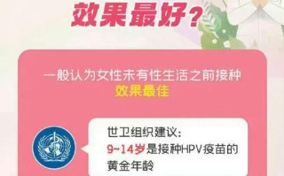 文化的力量——一个跨越时空的故事（传承与融合的意义）