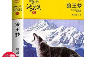 如何巧妙地逃避危险（如何巧妙地逃避危险）