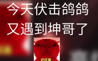 快乐乐园：一场奇妙的冒险