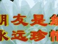 一场雨一种缘分，两个陌生人的友情故事（一场雨一种缘分，两个陌生人的友情故事）