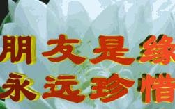 一场雨一种缘分，两个陌生人的友情故事（一场雨一种缘分，两个陌生人的友情故事）