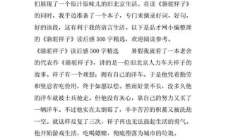 梦想之路（祥子的故事）